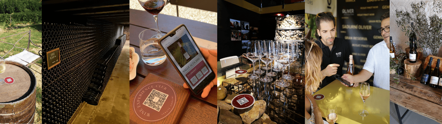 wine experience gallery showcasing the winery and qr-code